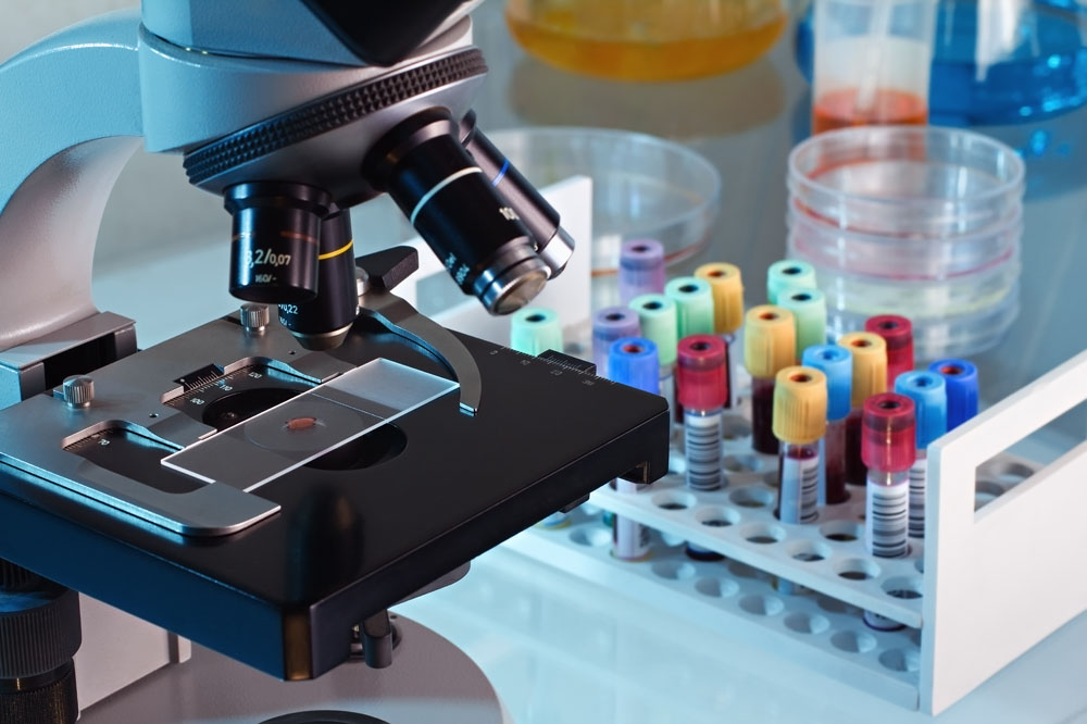 蔗糖合成酶(SS)測(cè)試盒