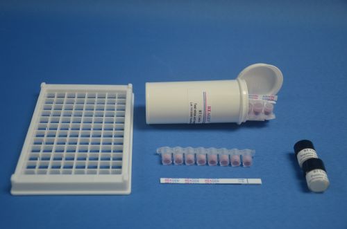 玉米赤霉烯酮快速檢測卡