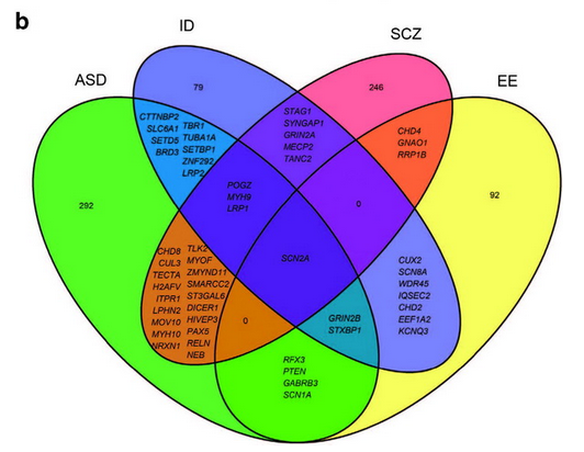144521770422a4ad53def2cf60.png 144521770422a4ad53def2cf60.png